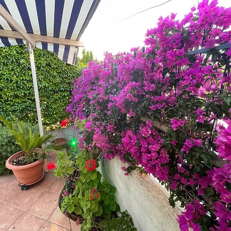 Rocco S Vivienda Дом отдыха Скалея