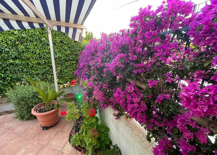 Rocco S Vivienda Сasa de vacaciones Scalea